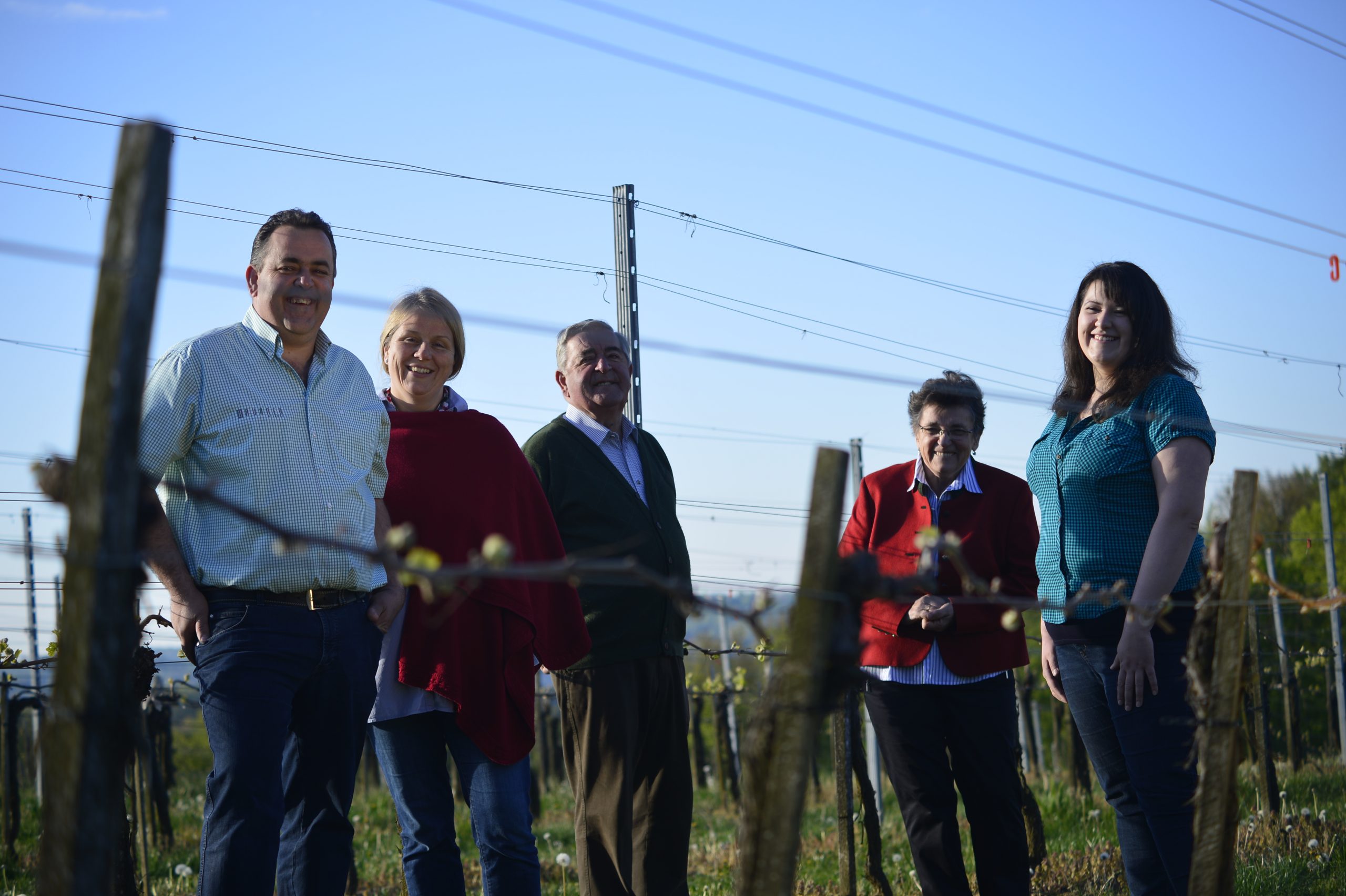 Bild von Gustl beim Weinlesen